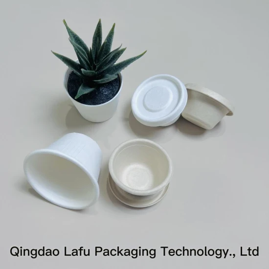 100% Biodegradable Tableware Tableware Dinnerware Compostable Pulp Board Packaging Gradable Food Bagage Sugarcane Bagasse Paper Sauce Cup 2oz 4oz